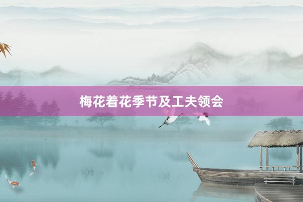 梅花着花季节及工夫领会